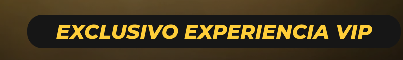 Exclusivo Experiencia VIP